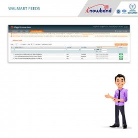 Walmart Magento Integration