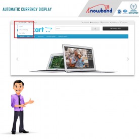 Auto Switch Language and Currency - Opencart Extensions