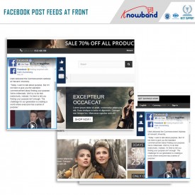 Flux de Post Facebook - Prestashop Addons