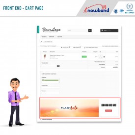 Flash Sale - Prestashop Addons