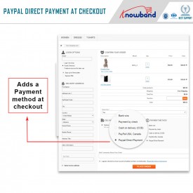 Paiement Direct par PayPal - Prestashop Addons